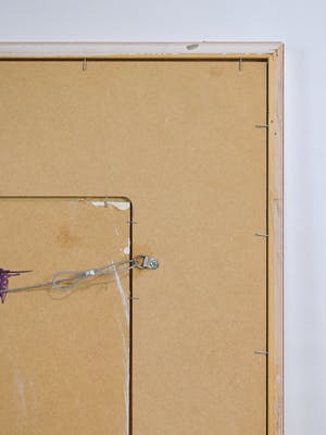 Carla Raadsveld - Twins kopen? Bied vanaf 100!