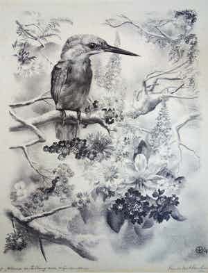 Aart van Dobbenburgh - Litho van IJsvogel op tak met bloemen verkocht voor € 50!