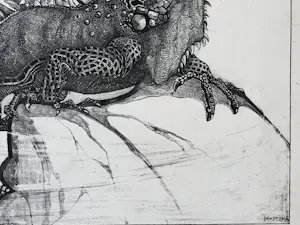 Theo van Hoytema - Leguaan, zittend op een steen in het water kopen? Bied vanaf 40!