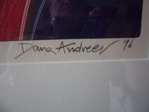 Dana Andreev - Kleurenets, Close Up - Ingelijst kopen? Bied vanaf 60!