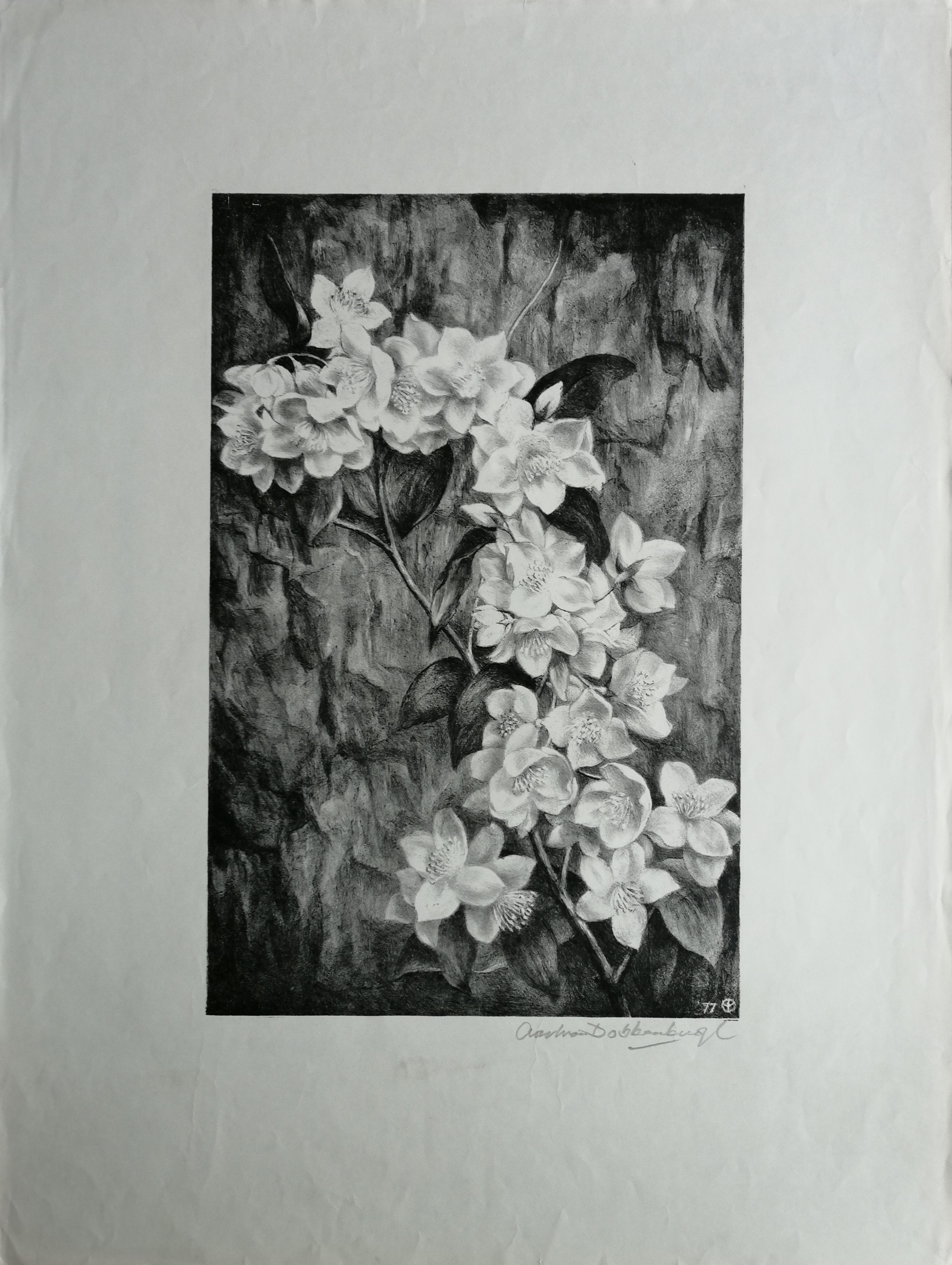 Aart van Dobbenburgh - Tak met bloesem kopen? Bied vanaf 20!