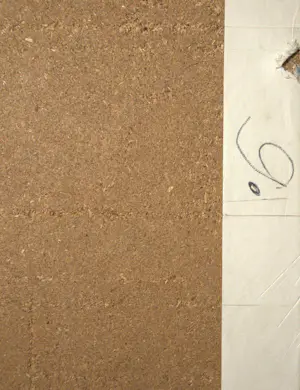 Karel Appel - De gedresseerde circuskloe met dansende kat kopen? Bied vanaf 100!