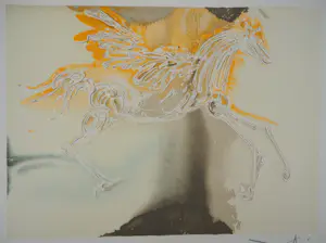 Salvador Dali - Paarden, Pegasus, Lithografie kopen? Bied vanaf 120!