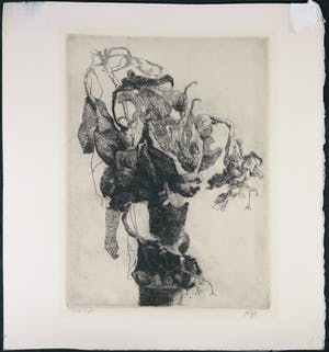 Jo van Dijk - Ets, Boom kopen? Bied vanaf 40!