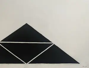 Niek van Driel - Driehoeken in perspectief kopen? Bied vanaf 75!