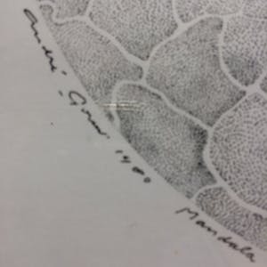 Andre Gouw - Mandala IX kopen? Bied vanaf 40!