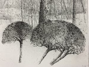 Charles Donker - ets - Noordoostenwind - definitieve, 3e staat - 1984 kopen? Bied vanaf 350!