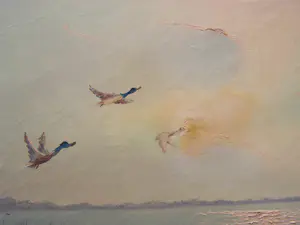 Hans Lenteman - Plasgezicht met eenden kopen? Bied vanaf 50!