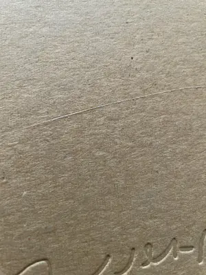 Aad de Haas - Erotische lino’s kopen? Bied vanaf 45!