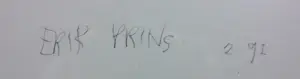 Erik Prins - Houtskool tekening, Grote stronk - Ingelijst kopen? Bied vanaf 100!