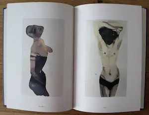 Marlene Dumas - boek: wet dreams kopen? Bied vanaf 45!