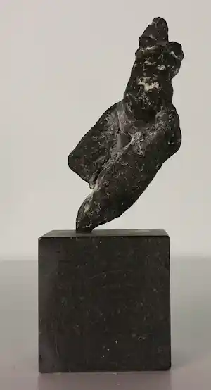 Gerard Engels - Brons, Vrouwentorso op hardstenen voet + 2 boeken vendu pour 250€ !