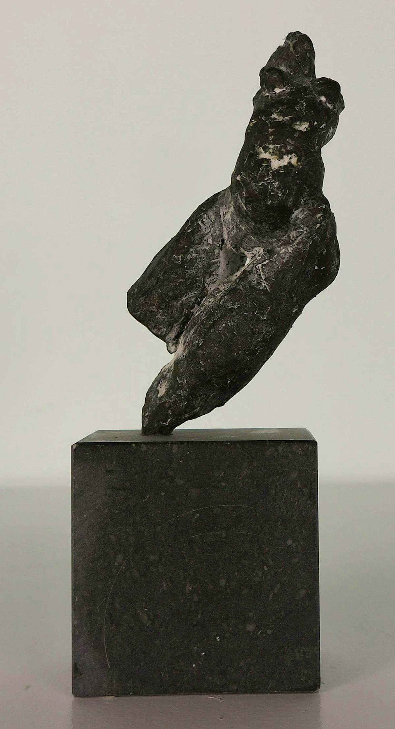 Gerard Engels - Brons, Vrouwentorso op hardstenen voet + 2 boeken kopen? Bied vanaf 250!