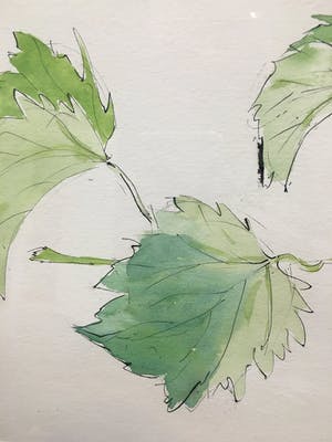 Annemarie van Wolde-Mulder - Groen. kopen? Bied vanaf 1!