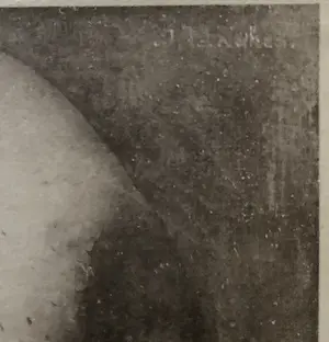 Jan Mankes - Uil op Boomtak kopen? Bied vanaf 90!