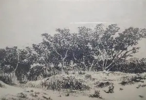 Dirk Harting - Duinlandscahp - Ets rond 1920 kopen? Bied vanaf 35!