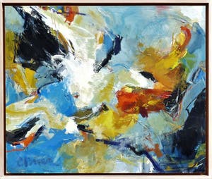 Ton Etman - Vogelvlucht 2 kopen? Bied vanaf 350!