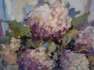 Ricky Damen-Vereijken - Hortensia's kopen? Bied vanaf 500!