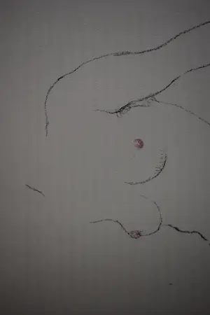 Kees van Dongen - litho - Naaktportret kopen? Bied vanaf 250!