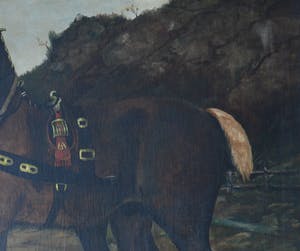 Niet of onleesbaar gesigneerd - Twee paarden. kopen? Bied vanaf 1!
