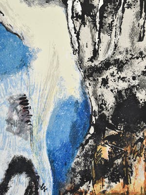 Bert Braam - Desira kopen? Bied vanaf 50!