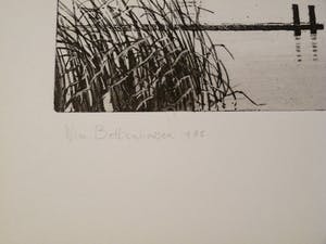 Wim Bettenhausen - RIJPWETERING kopen? Bied vanaf 95!