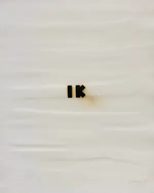 Jan van Munster - Pyrografie - IK kopen? Bied vanaf 225!