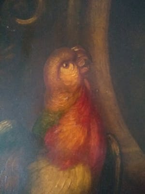 Niet of onleesbaar gesigneerd - Papegaai op een mand kopen? Bied vanaf 1!