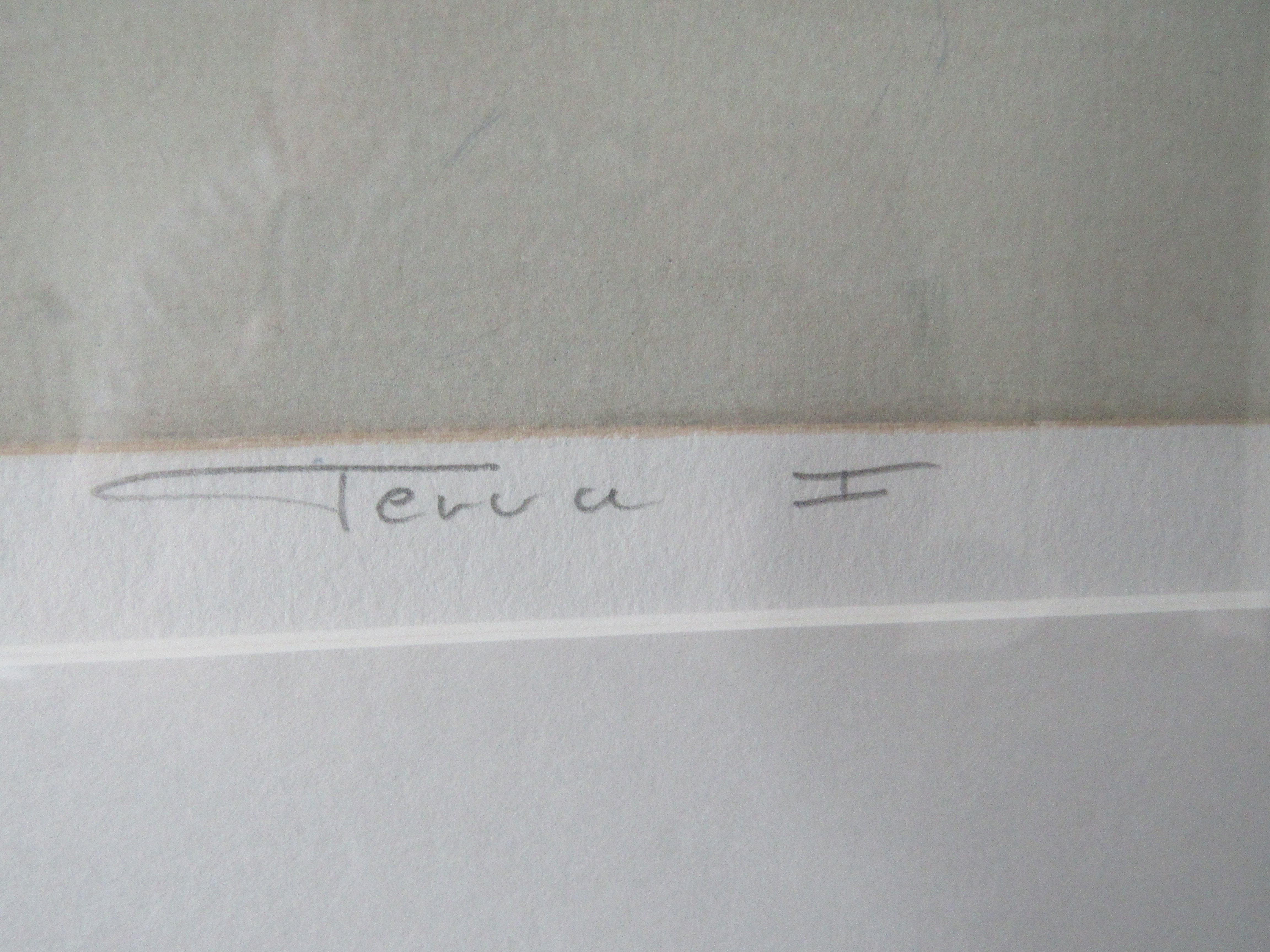 Ron van der Werf -  Terra 1 kopen? Bied vanaf 40!