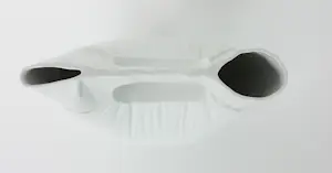 Michiel Van Luijn - Object van porselein, Tas kopen? Bied vanaf 100!