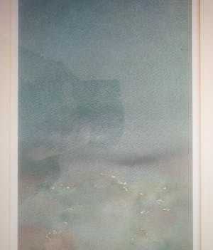 Hans Geernaert - Waterlelie. kopen? Bied vanaf 39!