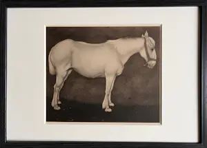 Jan Mankes - Originele Heliogravure Wit Paard 1923 kopen? Bied vanaf 165!