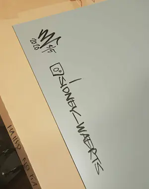 Sidney Waerts - Haiiro No Kaze nr 2 - Tijger kopen? Bied vanaf 150!