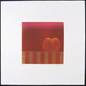 Joop Vegter - Mezzotint, Peach kopen? Bied vanaf 60!
