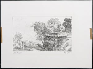 Gerard Bellaart - Ets, Landschap kopen? Bied vanaf 1!