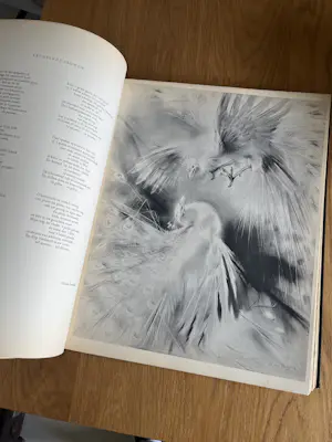 Han van Meegeren - Teekeningen - 1 kopen? Bied vanaf 500!