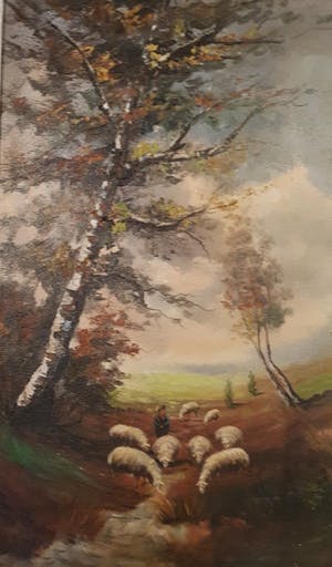 Irene Verbeek - Drink schapen op de heuvel! kopen? Bied vanaf 22!