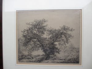 Jan Coenraad Nachenius - Ets verstild Veluwse landschap. kopen? Bied vanaf 75!