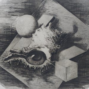 Hans van Dokkum - Het Schelpenoog kopen? Bied vanaf 35!