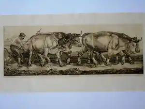 Pieter Dupont - Ploegende ossen verkauft für € 125!