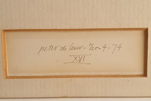 Peter de Leur - Vedermus kopen? Bied vanaf 50!