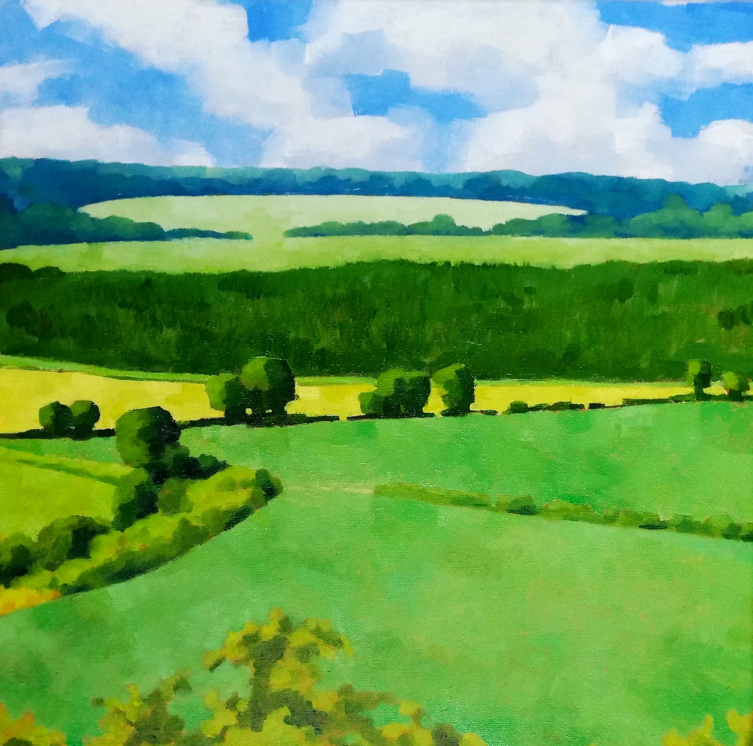 Willem Visser - Eifellandschap 04 verkocht voor € 130!