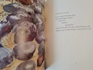 Gunter Grass - Fundsachen für Nichtleser, Buch 239 Seiten kopen? Bied vanaf 20!