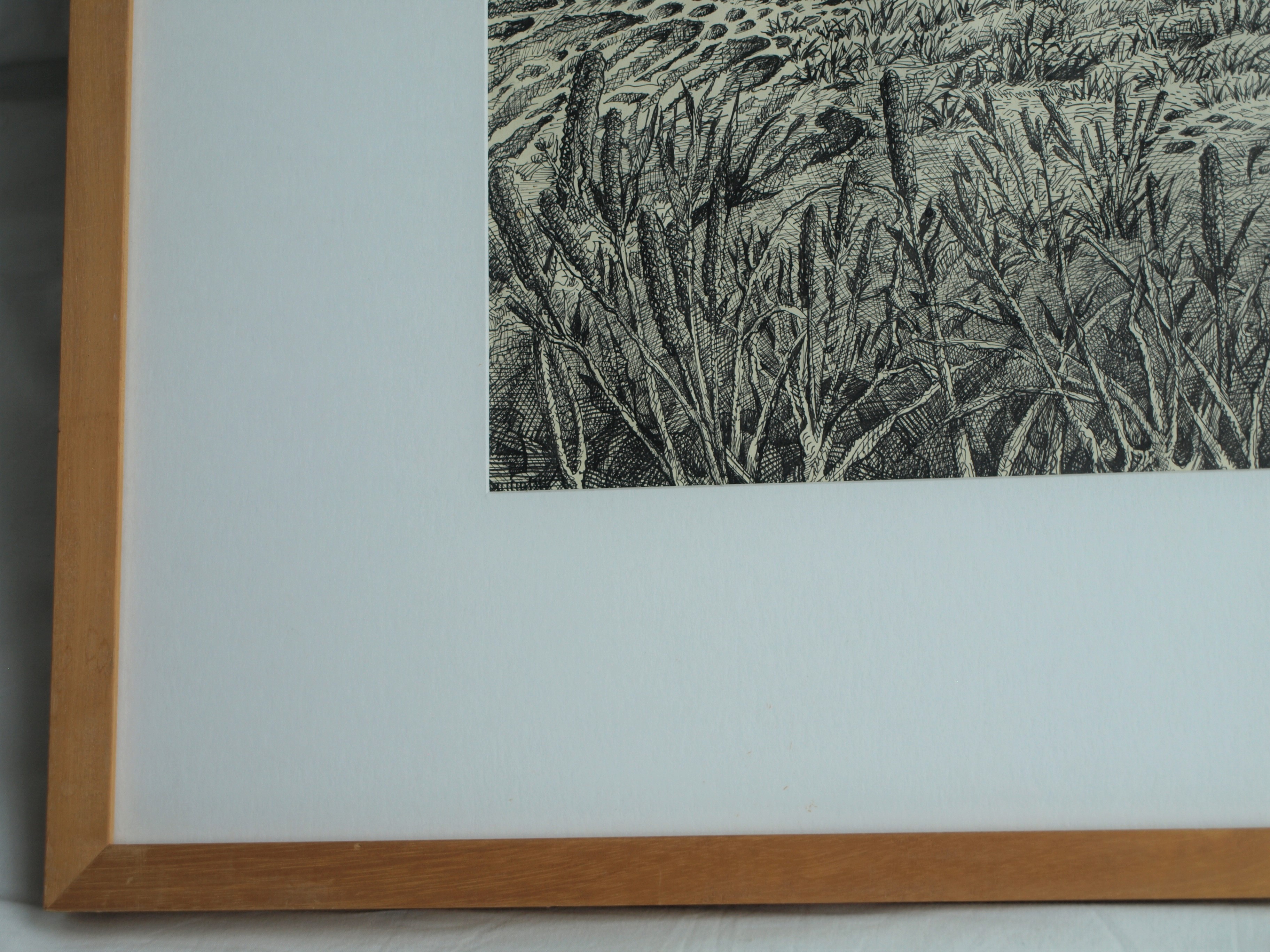 Hans Boon - Pentekening , Duinlandschap – gesigneerd & ingelijst – ca 1977  kopen? Bied vanaf 1!