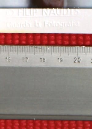 Filip Naudts - Zonder titel kopen? Bied vanaf 52!