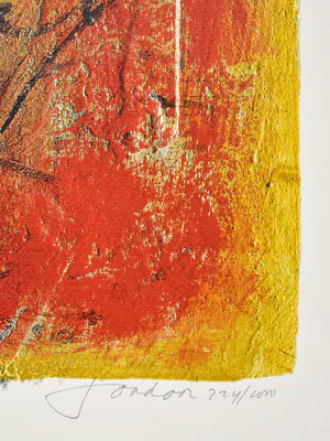 Hans Jochum Bakker - Cello kopen? Bied vanaf 25!