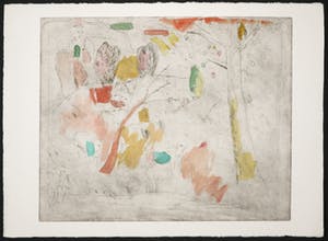 Henk Tichelaar - Droge naald en aquarel, Jumerkoeland kopen? Bied vanaf 40!