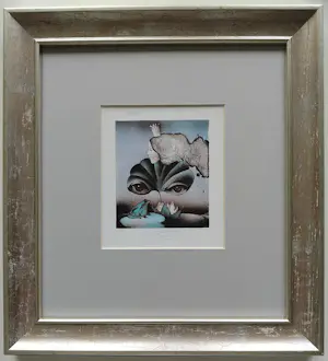 Vladimir Suchanek - lot van 4 stuks ingelijste gesigneerde litho’s kopen? Bied vanaf 79!