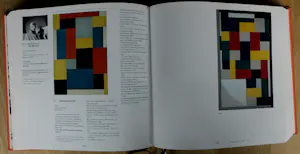 Theo van Doesburg - 2 boeken: Schilder en architect/Oeuvre catalogus kopen? Bied vanaf 79!