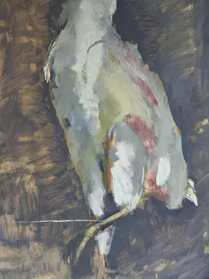 Jan Tullemans - Haan. kopen? Bied vanaf 79!